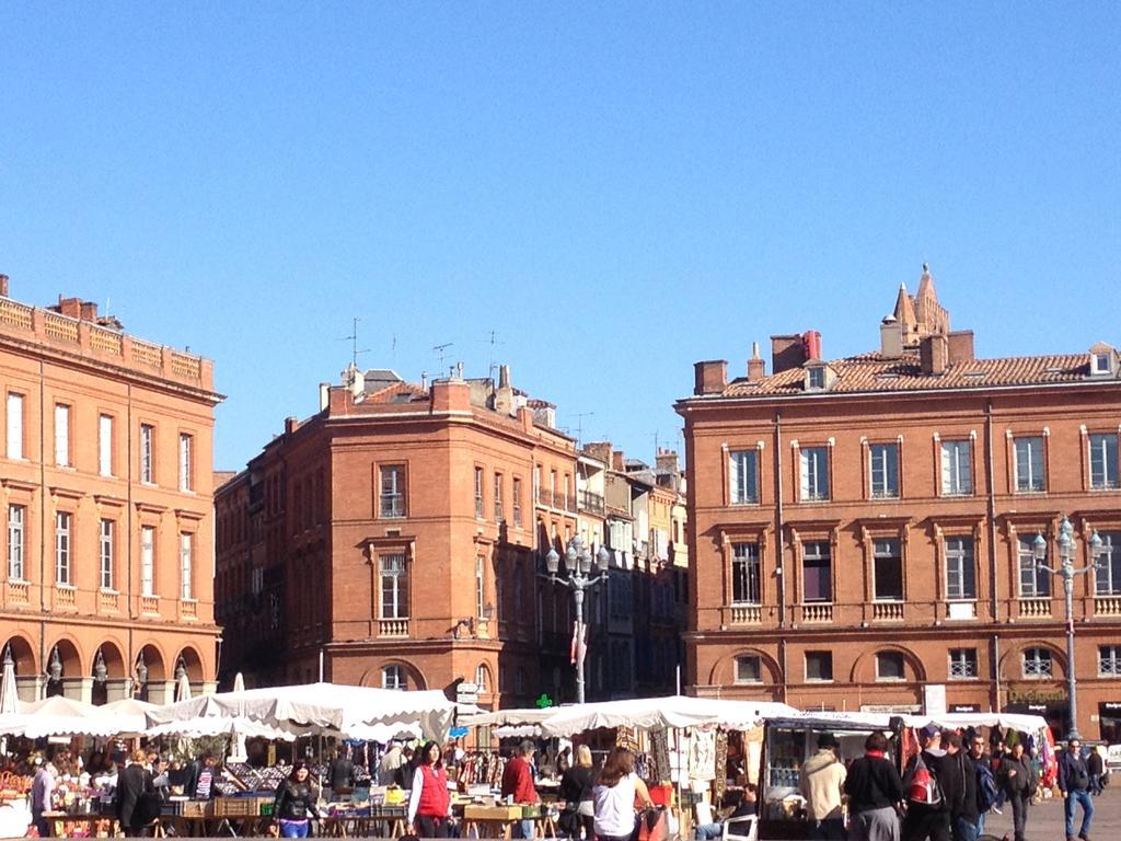 Les Platanes Apartamento Toulouse Habitación foto